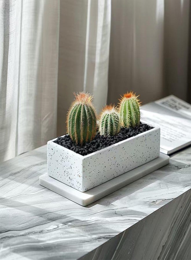 HappyFiller حصى أسود صغير من هابي فيلر، وزن 0.88 رطل، أحجار صغيرة، صخور صغيرة للنباتات العصارية، غطاء تربة للزراعة، أحجار صغيرة، حديقة خيالية، تراريوم، خيزران الحظ، تزيين سطح الصبار، حبيبات قاع حوض السمك - Image 5